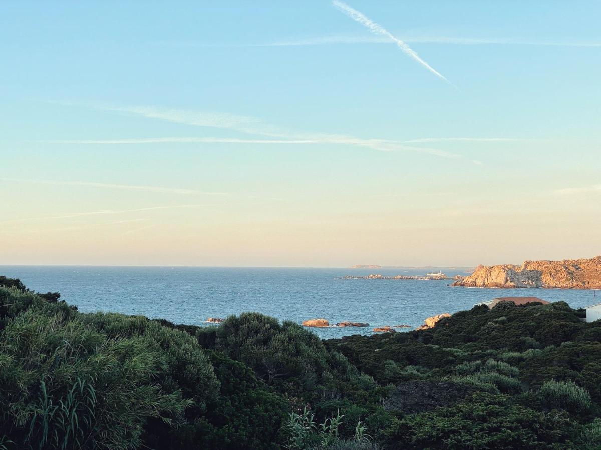 Appartamenti Del Conte Di Capo Testa Santa Teresa Gallura Eksteriør bilde